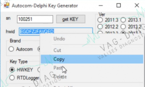 Delphi - copie hwid